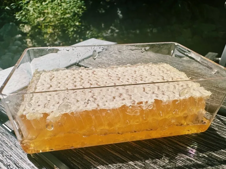 Honeycomb from the Red Lion Tavern's own honeybee hives